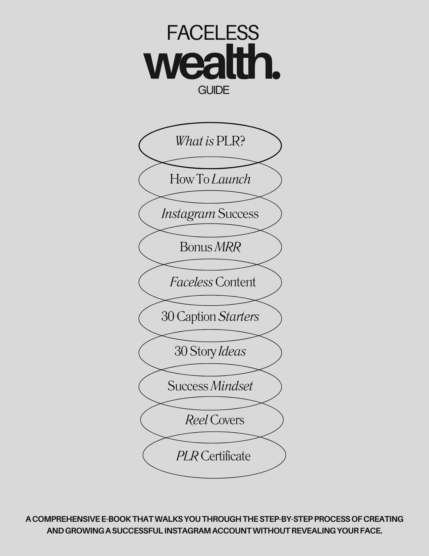 Faceless Wealth Guide